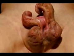 Bizarre Penis Masturbation